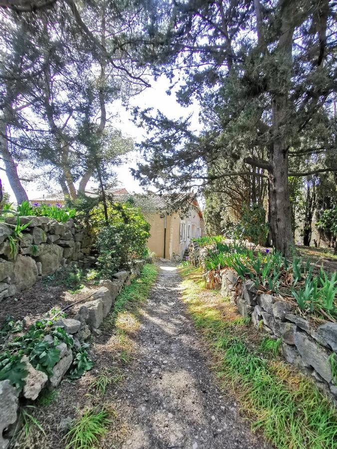 La Pinede Apartman Azillanet Kültér fotó